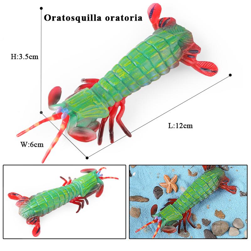 Oenux Ocean Animals Simulation Tiger Prawn Crayfish Shrimp Sea Life Model Figurines Action Figures Collection Toys For Kids Gift