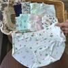 Clearance Ice Silk Lace Low-Rise Women's Panties