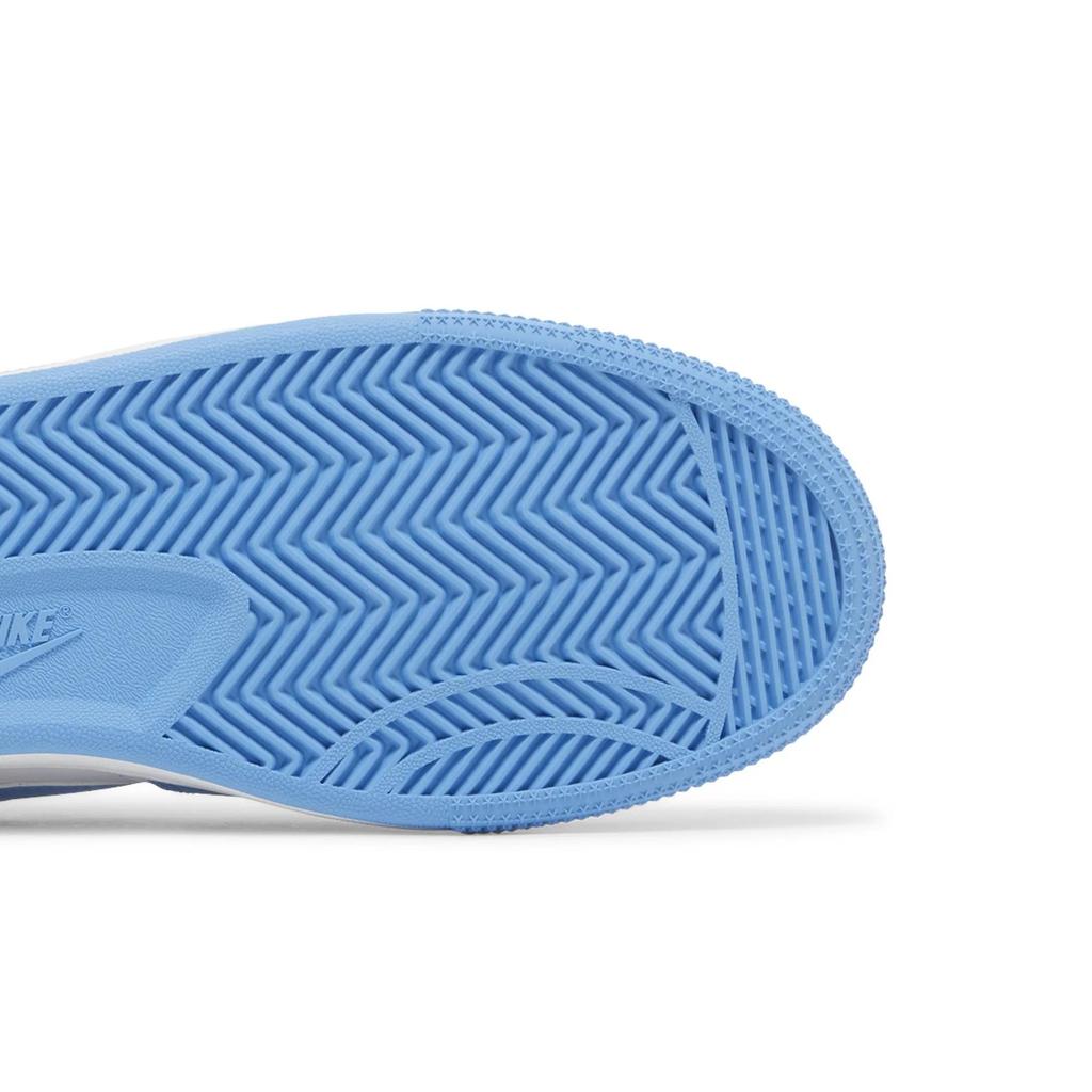 Nike Terminator Low 'University Blue' (Unisex) University Blue / White Skate Shoes FQ8748 412