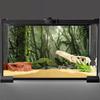 AWERT Foggy Forest Terrarium Background Stream Green Huge Tree Reptile Habitat Background Tropical Rainforest Aquarium Background 36x18 Inches