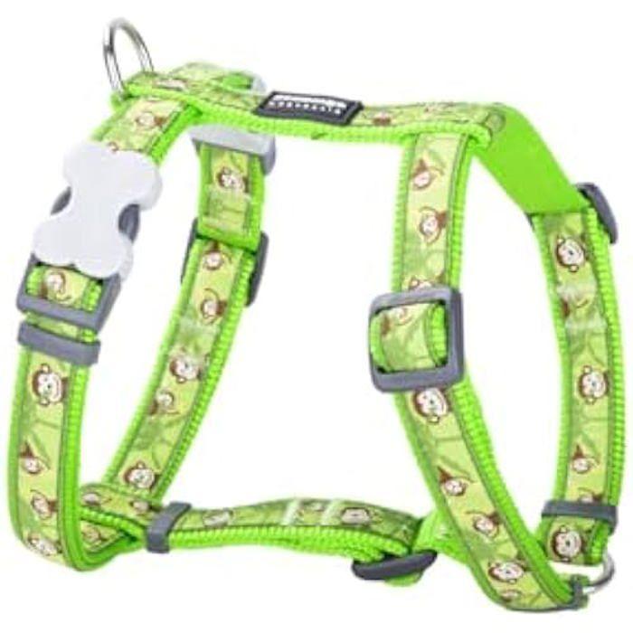 Harnais Pour Chien - RED DINGO - Style Monkey Lime - 36-54 Cm - 30-48 Cm - Multicolore