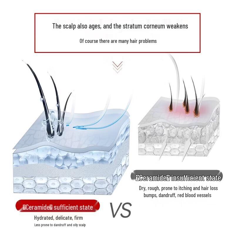 SLEK PRO Scalp and Hair Care Set