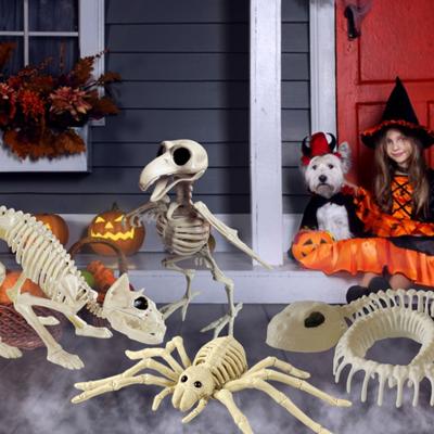 Animal Skeleton Model Halloween Crow Spider Lizard Cat Skull Statue Halloween Skeleton Sculpture Resin