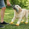 Breathable Dog Mesh Shoes Rubber Sole Dog Paw Protectors Fashion Dog Sneakers  Outdoor Walking