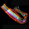 Adjustable LED Light Up Dog Leash Nylon Dog Glowing Walking Rope  Walking