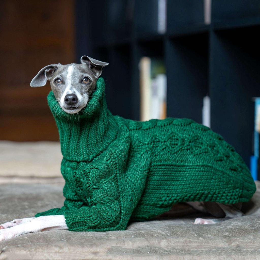 Christmas Green Dog Sweater Autumn Turtleneck Thickened Pet Sweater Italian Greyhound Whippet Two-legged Knitted Dog Clothes