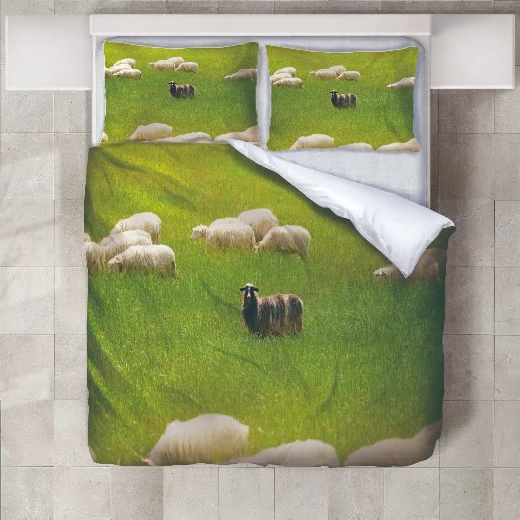 Prairie Duvet Cover Set for Teens Queen Size Quilt Covers Lightweight Down B Room Decor 2 Pillowcases 1 Duvet Cover No Comforter