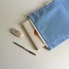 Sky Pinstripe Book Pouch