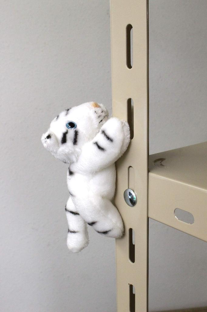 Safari Magnet White Tiger
