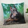 Dobermann Foto's Gedrukte Kussensloop Patroon Kussenhoes Geschikt Voor Bank Slaapkamer Auto Kussensloop