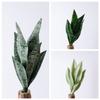 Authentic Decor Artificial Snake Plant Fake Green Plants PVC Plants