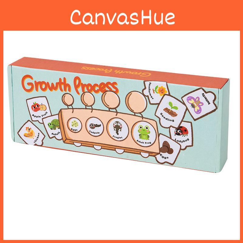 Cycle Montessori Growth Puzzle Wooden Educational Toy For Learning Preschool