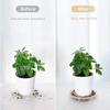 5Pcs Clear Plant Plates Round Plants Saucer New Flower Pot Tray  Outdoor