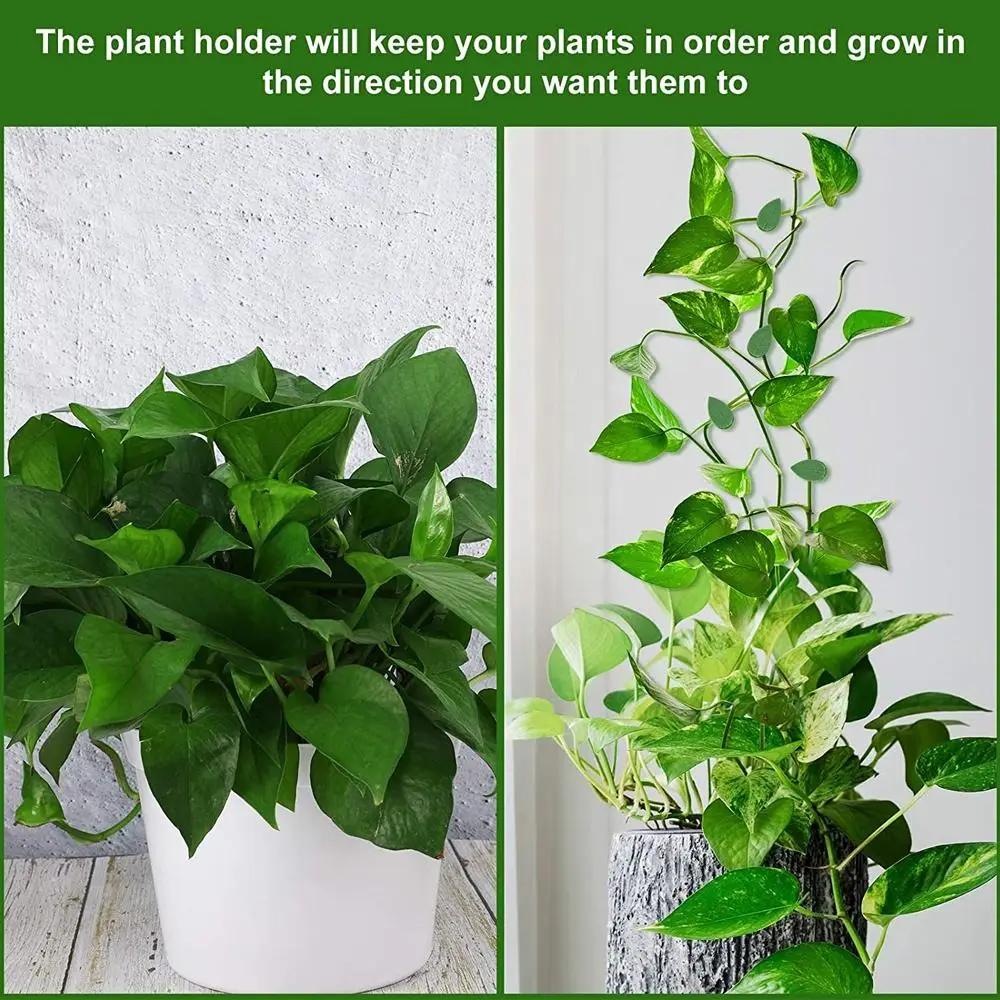 10/50 PCS Plant Climbing Wall Fixture Rattan Vine Bracket Fixed Buckle Leaf Clips Traction Holder Plant Fixing Clip Garden Tool