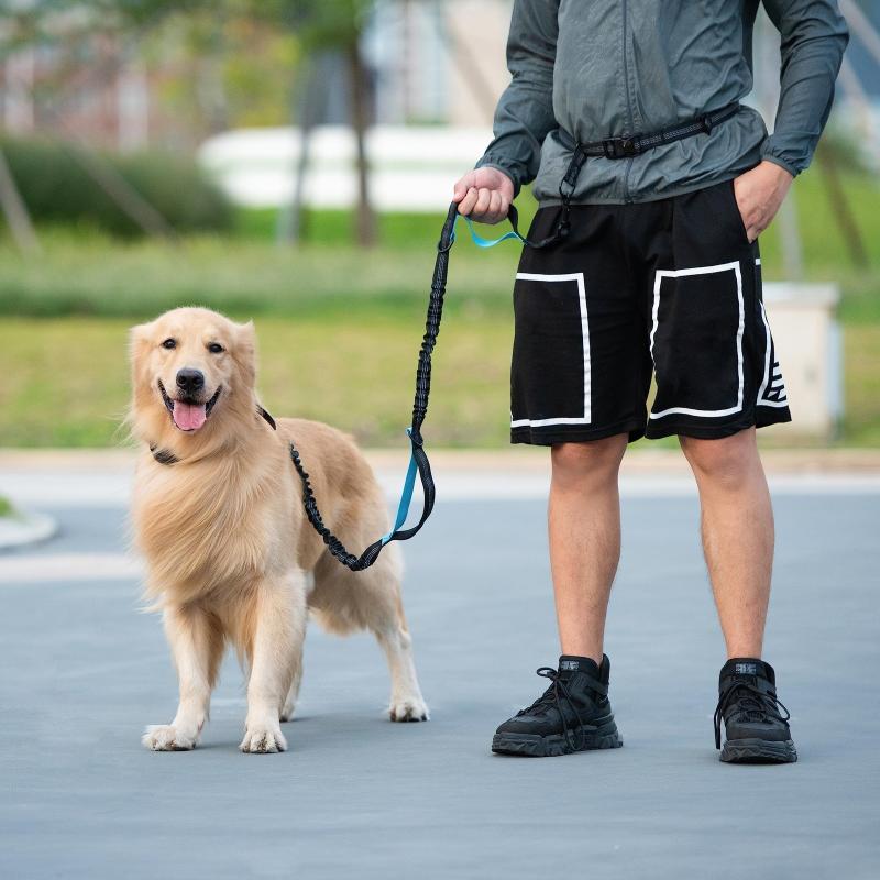Hand Free Dog Leash For Pet Walking Running Jogging Adjustable Dog Leash Waist Belt Chest Strap Traction Rope Dog Accessories