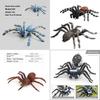 Spider Model Set With Plastic Material For Home Decor And Gift For Nature Lovers