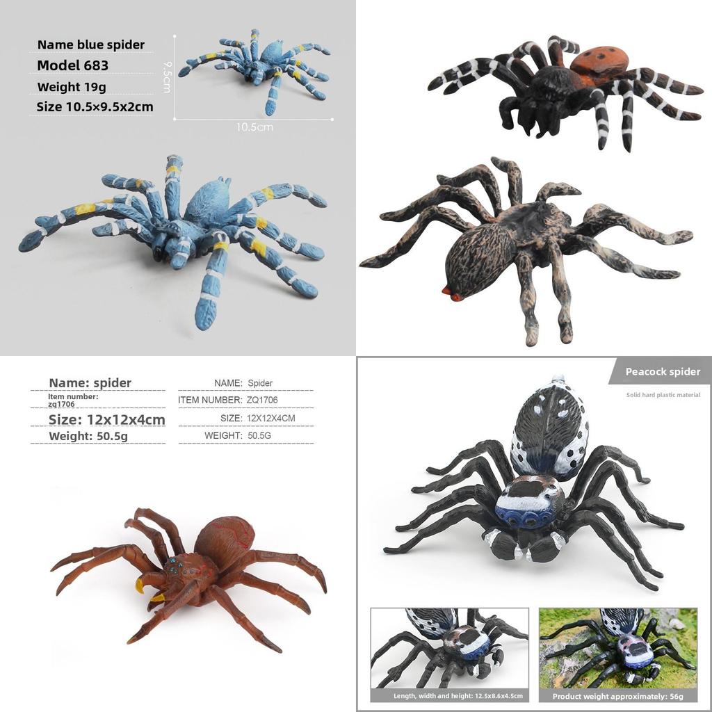 Spider Model Set With Plastic Material For Home Decor And Gift For Nature Lovers