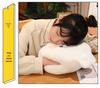 Cute Penguin & Dinosaur Plush Hand Warmer Pillow Toy