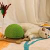 Grinding Claws Sisal Cat Scratching Ball Interactive Cat Scratch Pad  Relieve Boredom