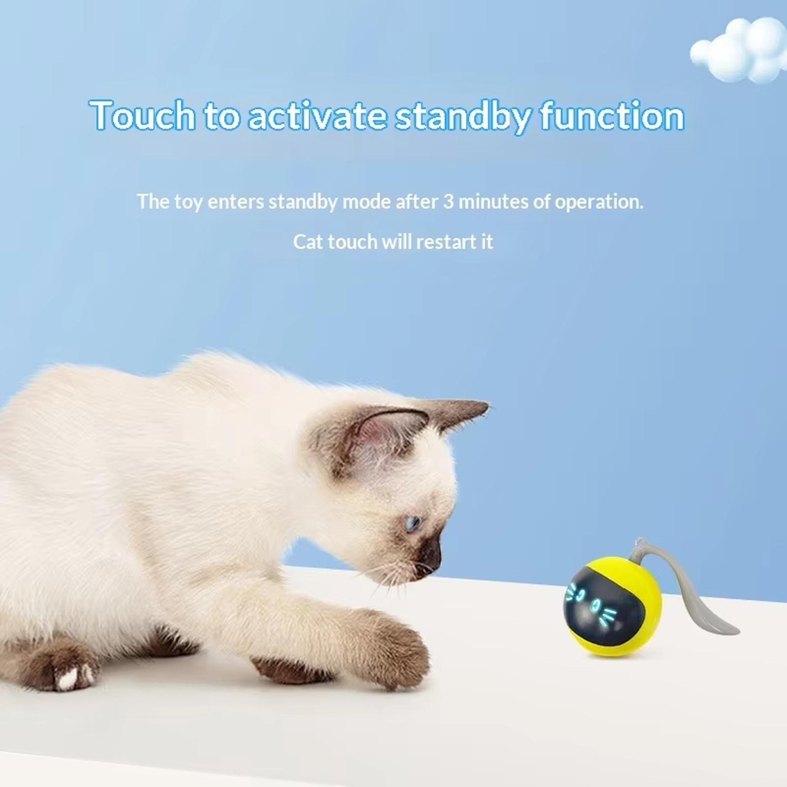Interactive LED Ball Toy, Electronic Pet Teasing Ball with Light Display one size