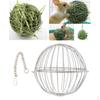 Kugel-Futterspender Spielzeug Meerschweinchen Hamster Ratte Kaninchen Haustierbedarf#1