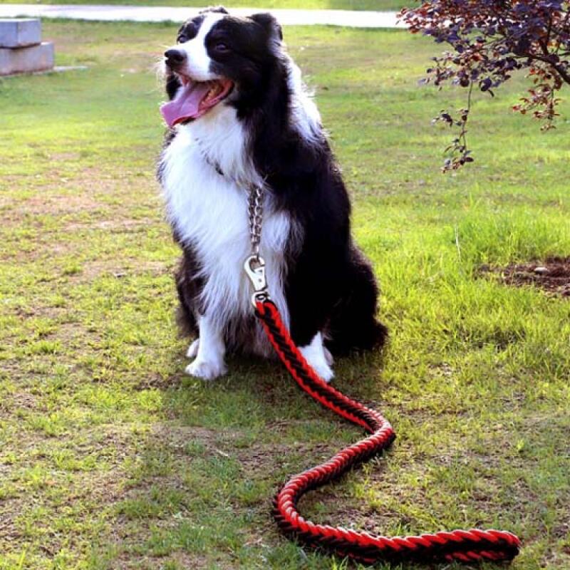 Twist Rope Large Dog Leash + Lead (Red + Black)