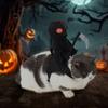 Vtipný kostým pro psa Jezdecký kostým Psí sedlo Kostým psa jedoucího na duchovi Halloweenská párty