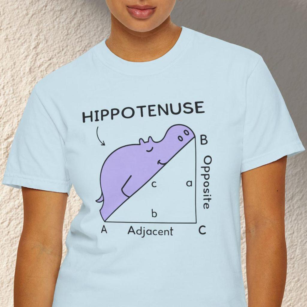 Hippo Hypotenuse Math T-Shirt, Funny Geometry Pun Tee, Math Teacher Gift