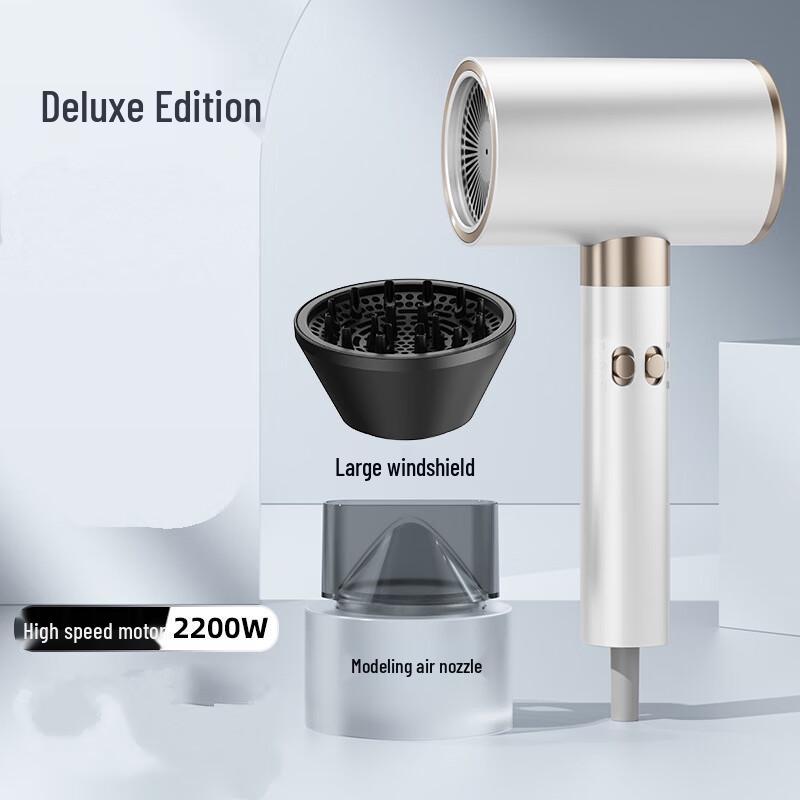 Shengbei High-Speed Hair Dryer