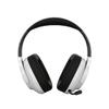 Canyon Ego Gh-15 2in1 Bt Gaming Headphones White