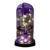 Repeated Use Festival Ornament Halloween Indoor Light Up Rose in Plastic Dome Cloche, Artificial Preserved Spider Theme Party Props Night with Pumpkin