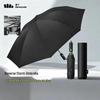 Beneunder Fully Automatic Folding Umbrella