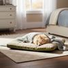 Dog Bed Flannel Materialwarm Pet Mat Washable Pp Cotton Filling Pet Bed Four Seasons Use For Large Medium Dogs Sleeping Mat