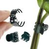 100/200PCS Plants Vine Clothespins Butterfly Orchid Flower Support Clamp Fruit Vegetable Stem Branch Growing Fixture Buckle