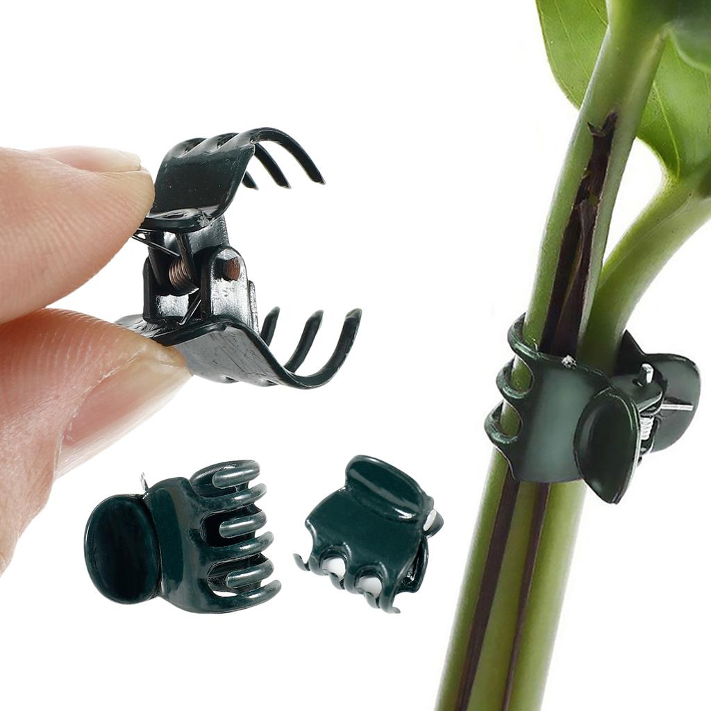 100/200 Stück Pflanzen Ranken Wäscheklammern Schmetterlingsorchidee Blumenstützklemme Obst Gemüse Stiel Ast Wachstumsbefestigung Schnalle