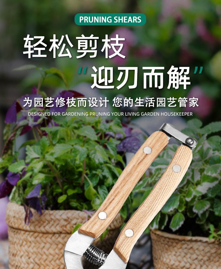 Stainless Steel Ash Pruning Branches Floral Straight Handle Gardening Scissors Rose Scissors Pruning Pruning Garden Tools