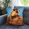 POPULAR AA-AALFF Cushion Cover Comfortable Reversible Pillow Cover Ideal for Car Sofa Bedroom & Beyond