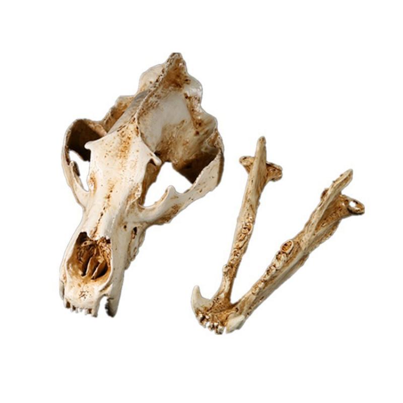 Movie Props Animal Model High Precision 1:1 Resin Crafts North Bear Skull