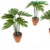 Green Plant Potted Model Desktop Decoration Living Room Decoration Simulation Micro Landscape Garden Scene Ornament