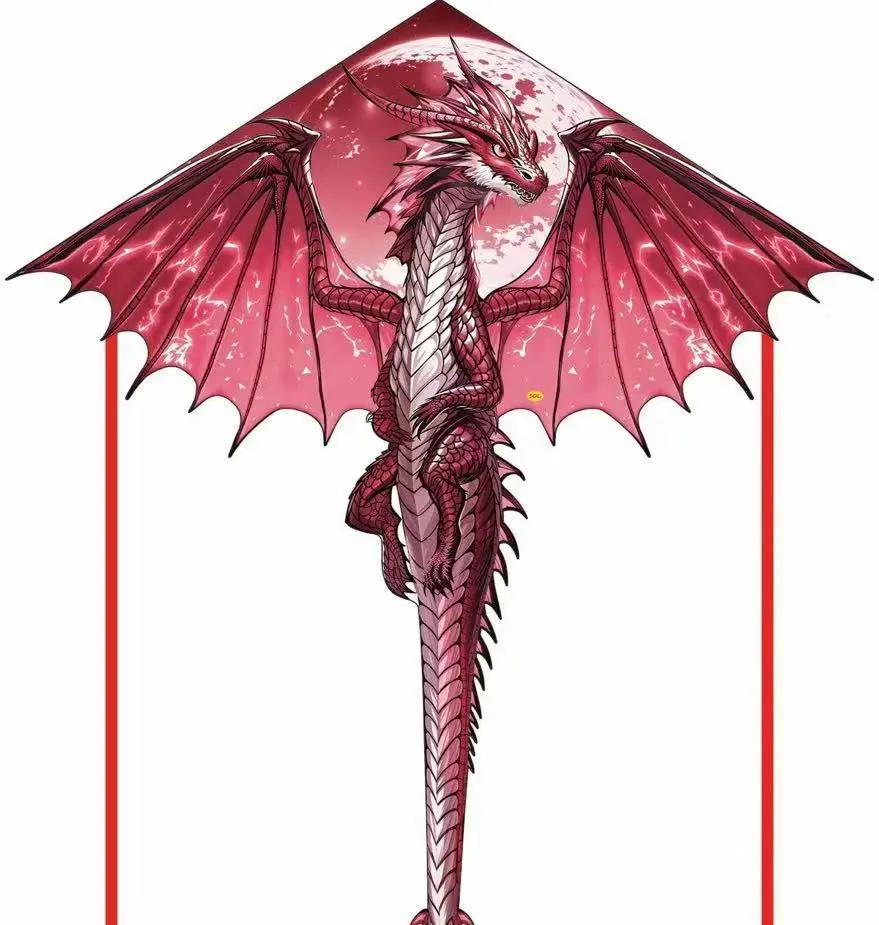 Drachen für Erwachsene Drachen für Kinder Leicht zu fliegen Pterosaurier-Drachen für Jungen Mädchen Anfänger Strandausflug Park Familie Outdoor-Spiele