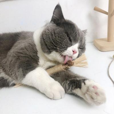 3Pc Cat Chew Toys Silvervine Chew Stick with Catnip and Feather Pet Snacks Sticks Kitty Raffia Grass Cleaning Teeth Silvervine