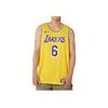 Nike NBA Los Angeles Lakers LeBron James Icon Edition Jersey Yellow/Purple Unisex Streetwear DN2009-728