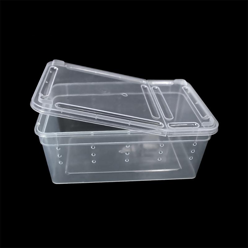 1 terrario para reptiles, arañas, caja de alimentación de plástico transparente, contenedor para cría de insectos, lagartos y escarabajos.