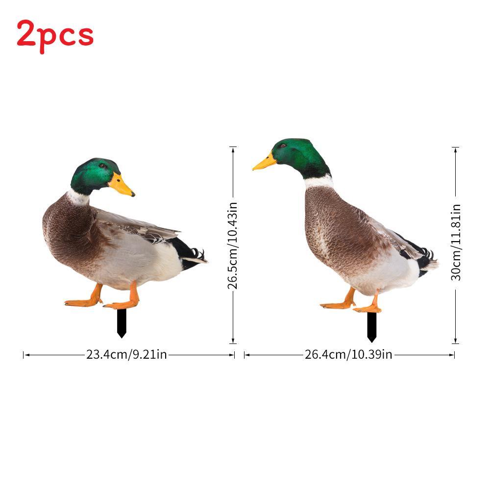Rooster And Duck Theme Garden Yard Art Pvc Outdoor Decor With Printed Design For Lawn And Patio Use