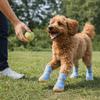 Adjustable Anti Slip Dog Shoes Wear Resistant Pet Paw Protector Dog Mesh Shoes  Walking Outdoor