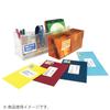 Kokuyo Color Laser Copy Labels, Relabel, Hakadori Type, 24 Labels with Top and Bottom Margins, 100 Sheets (LBP-E80366)