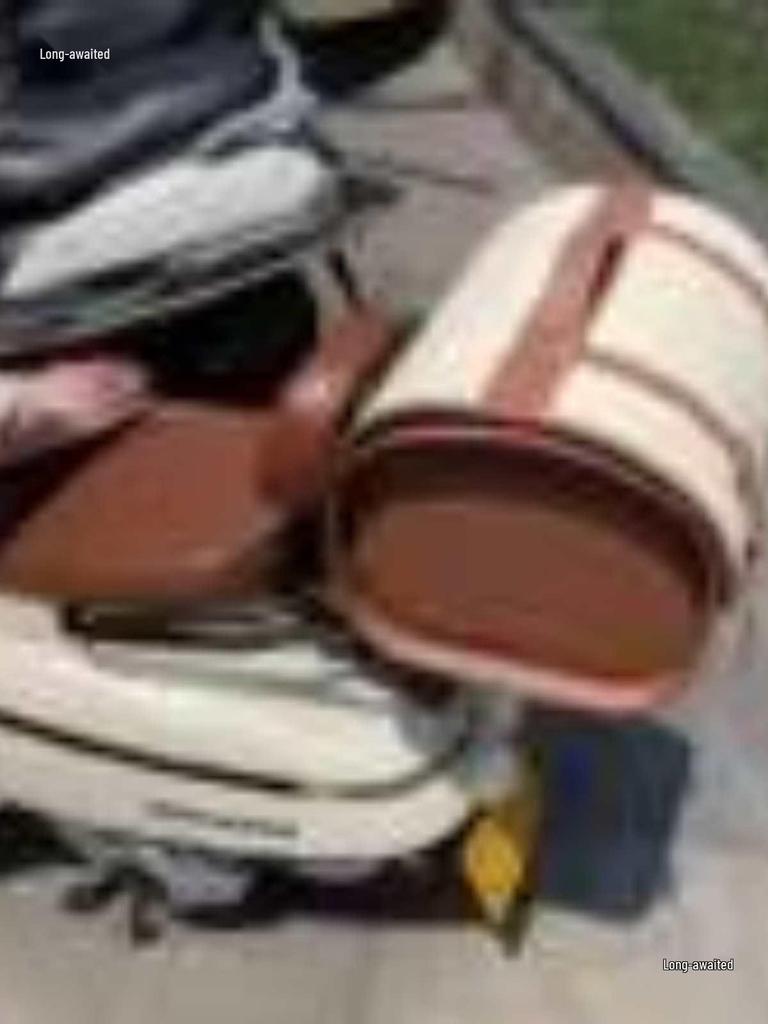Southern Feige 150/250 Motorcycle Rear Rack for Tail and Trunk Modification