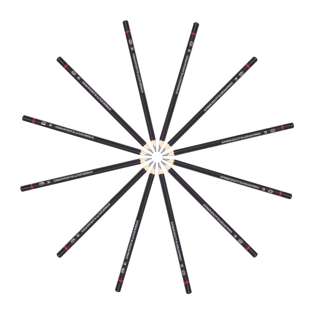 Professionelles Schattierungs- & Zeichenstift-Set - (12 Bleistifte) Schwarze Skizzenstifte in 12 Farbtönen für Künstler