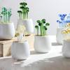 Handmade Glass Blown Cactus Cute Crystal Art Cactus Statue Collection Desk Desktop Simulation Plant Decoration