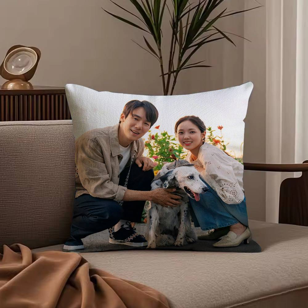 W-When the P-Phone R-Rings TV Pillow Case Anti-dustmite Pillowcase Invisible zipper silky short plush Sofa cushion cover